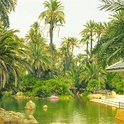 246 El Palmeral w Alicante
